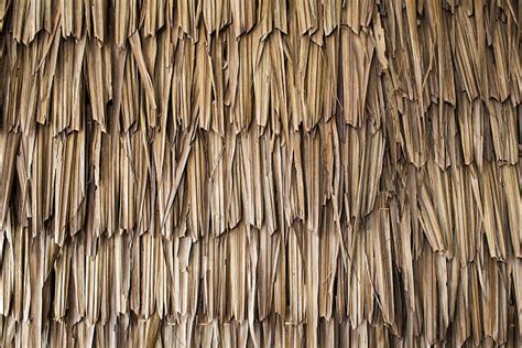 Best Thatched Roof Texture Stock Photos Pictures And Royalty Free Images