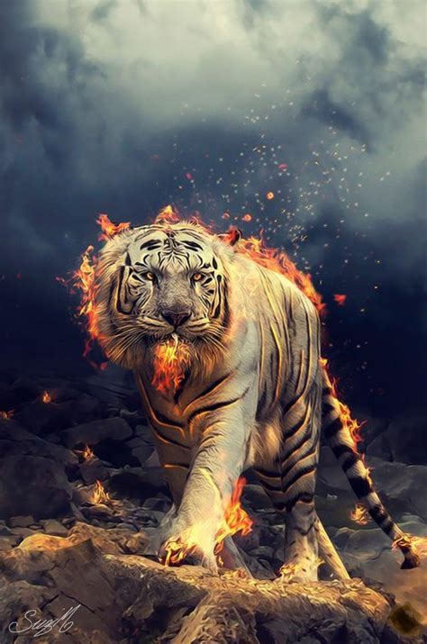 Harimau Wallpapers Top Hình Ảnh Đẹp