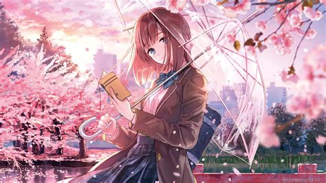 2048x1152 Anime Girl Cherry Blossom Season 5k Wallpaper2048x1152