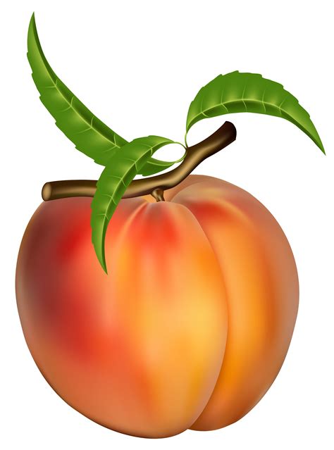 Free Peach Cliparts Download Free Peach Cliparts Png Images Free