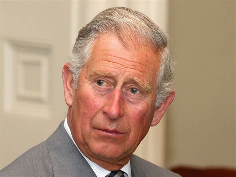 The king's reach | the rake. Prince Charles tried to persuade government 'to change course' | The Independent