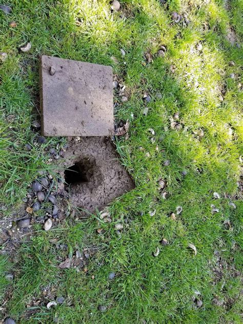 Found Random Hole In Backyard Homeowners