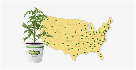 Today Bonnie Plants Are Available In All 50 States Bonnie Plants
