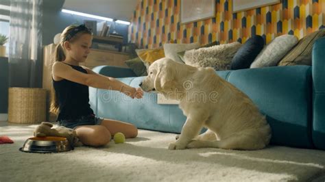 Young Girl Feeding Dog Stock Photo Image Of Funny Happy 259381714