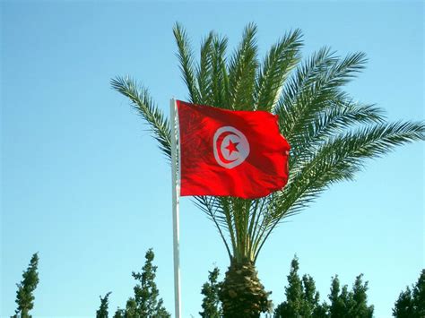 Ces derniers sont identifiables grâce à des caractéristiques spécifiques telles que le continent auquel ils appartiennent, leur drapeau, ou même leur population. Drapeau tunisien - photo - 850x638