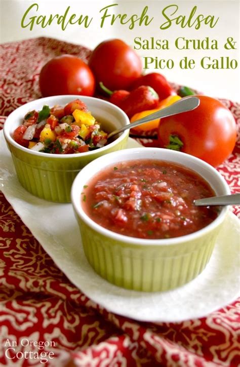 Garden Fresh Salsa Cruda And Pico De Gallo Recipe An Oregon Cottage