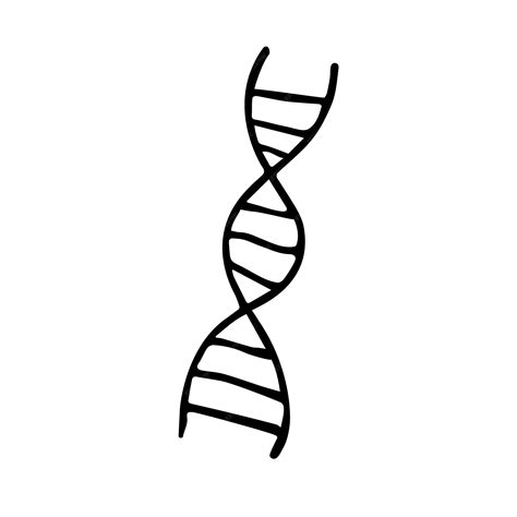 Premium Vector A Drawing Of A Dna Strand