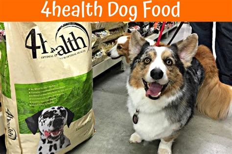 Chicken, chicken meal, cracked pearled barley, millet, brewers rice, chicken fat (preserved with mixed tocopherols), dried beet pulp, natural chicken flavor, flaxseed, fish meal, potassium chloride, salt, choline chloride, dried chicory root, glucosamine. 4Health Dog Food Review