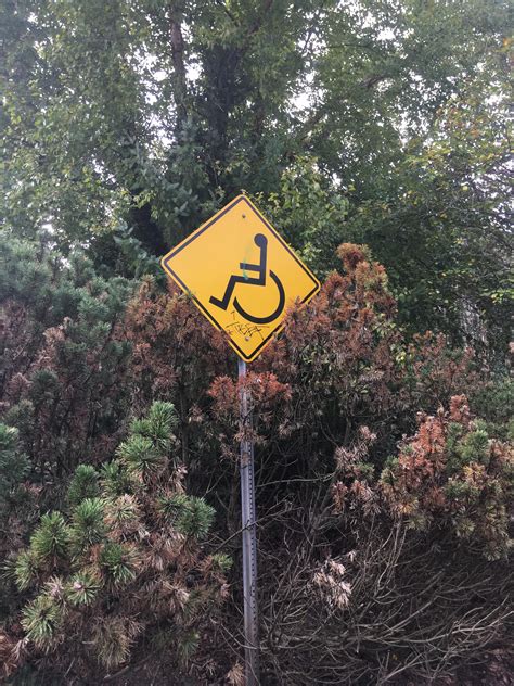 This Backwards Handicap Sign Rmildlyinteresting