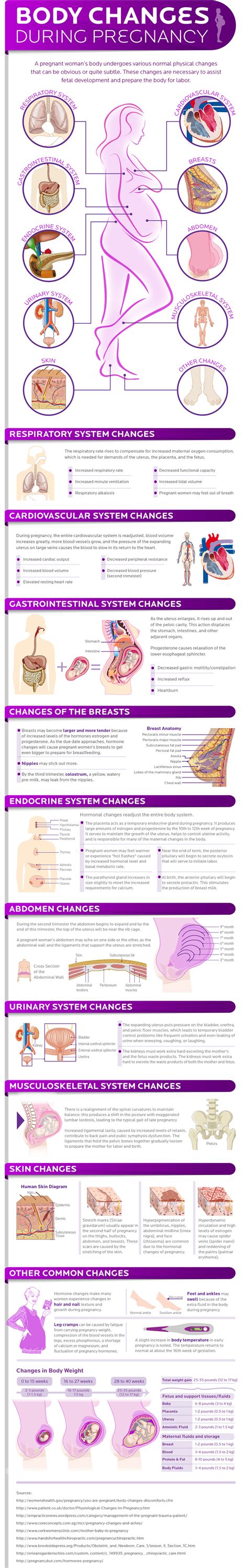 How A Woman S Body Changes During Pregnancy Infographic