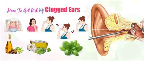 18 Worth Trying Ways How To Get Rid Of Clogged Ears At Home