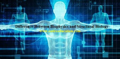 Biophysics And Structural Biology Online Test