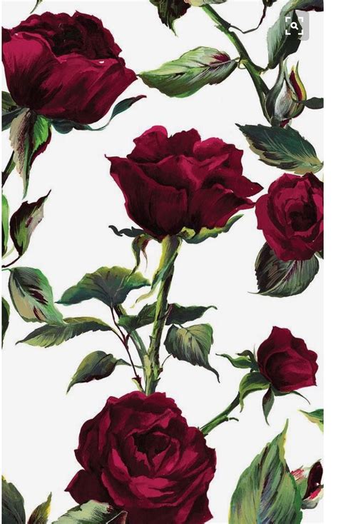 Check spelling or type a new query. Pin by Raegan Lawrence on Wallpaper | Rose wallpaper ...