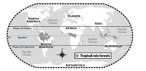 We are losing tropical rainforests at a rate of 7% each year. nature and wildlife - Where lies the closest tropical rain ...