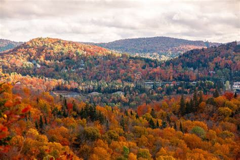 Autumn Forest In The Province Of Quebec Stock Image Image Of