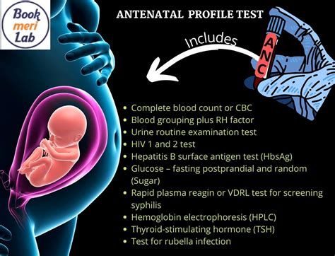 anc profile test during pregnancy price purpose and test list [2024]