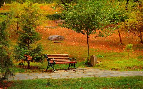 Wallpaper Park Trees Bench Path Autumn 2880x1800 Hd Picture Image