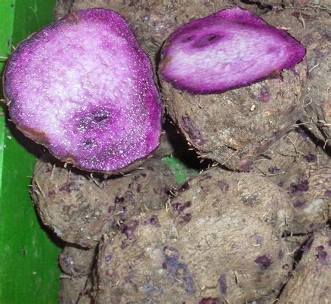 Travels And More With Cecilia Brainard Philippine Cooking Ube Halaya Or Purple Yam Dessert