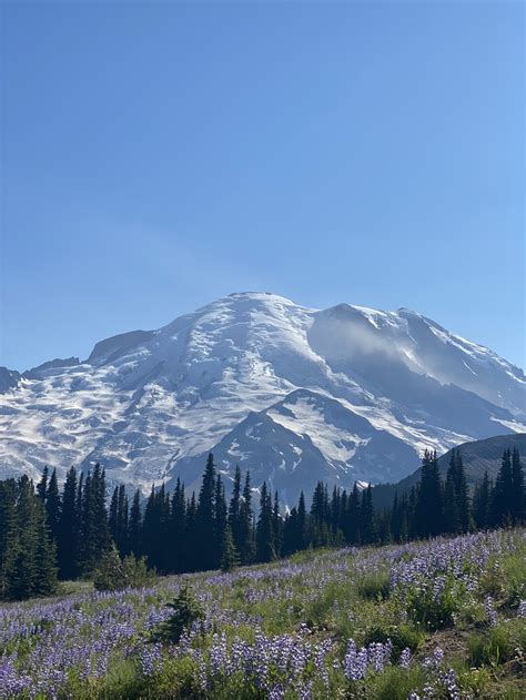 The Natural Beauty Of Mount Rainier Smithsonian Photo Contest