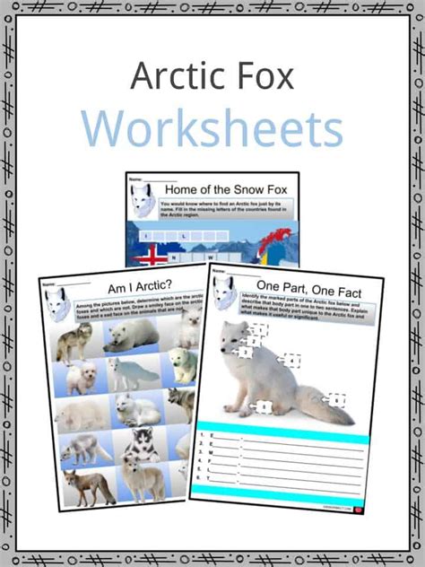 Arctic Fox Facts And Worksheets For Kids Features Habitat Diet Behavior