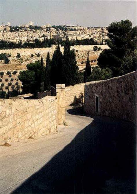 Tour Jerusalem The Holy Sites Of Palm Sunday Road Hubpages