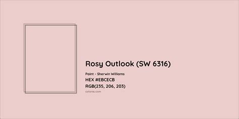 Sherwin Williams Rosy Outlook Sw 6316 Paint Color Codes Similar