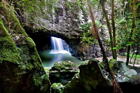 181 Waterfall Cave Australia Stock Photos Free And Royalty Free Stock