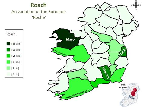 Roach Irish Origenes Use Your Dna To Rediscover Your