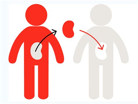 Declaring your intentions on your driver's license. Iranian People Giving Consent for Organ Donation in Record ...