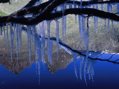 Icicles Cradle Mountain Bing Wallpaper Download