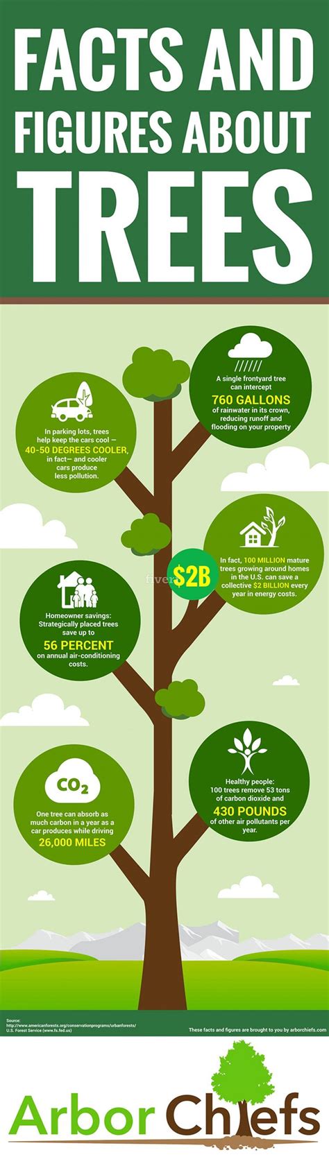 Here Are Six Amazing Facts Outlining Why Trees Are So Important For Our