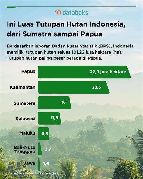 Ini Luas Tutupan Hutan Indonesia Dari Sumatra Sampai Papua
