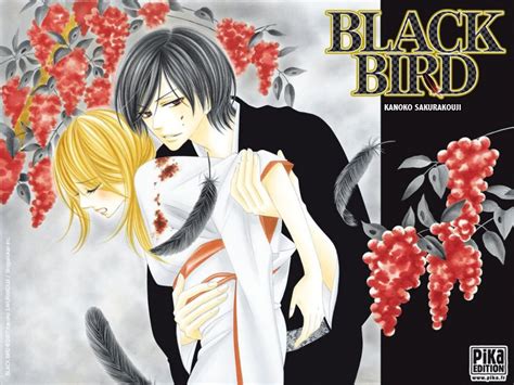 Black Bird Manga Anime Forums