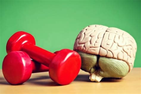 Así Es Como La Actividad Física Beneficia A Tu Cerebro
