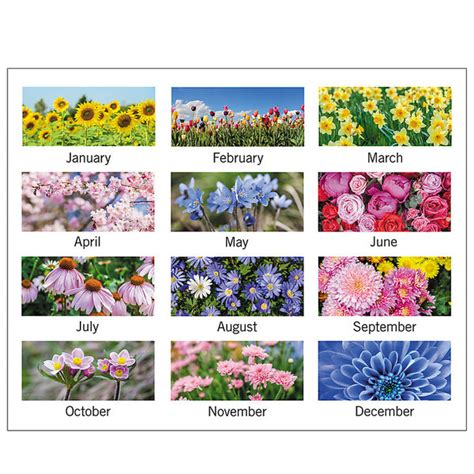 At A Glance 89805 22 X 17 Floral Panoramic Monthly January 2024