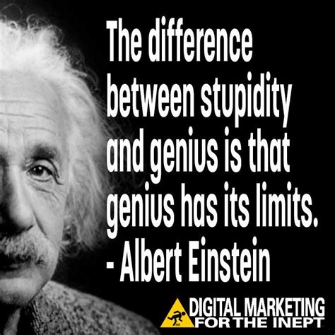 The Difference Between Stupidity And Genius Is That Genius Has Its