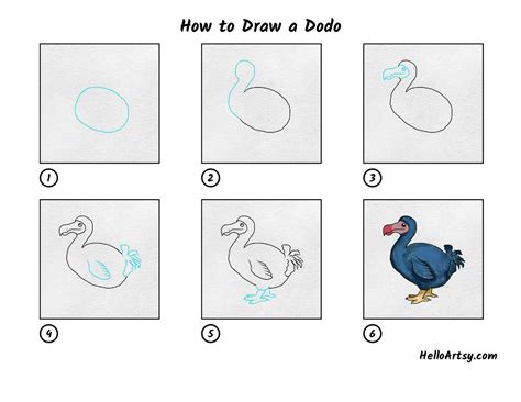 How To Draw A Dodo Helloartsy
