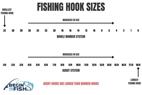 A Complete Guide On Fishing Hook Sizes Begin To Fish