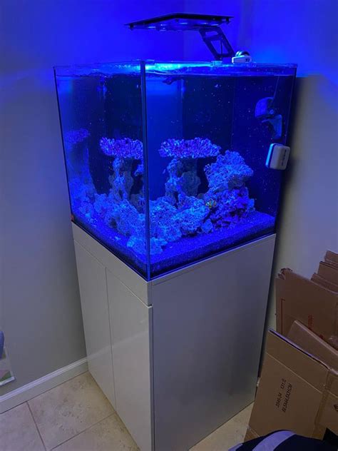 Fish Tank 60 Gallons True Cube For Sale In Fort Lauderdale Fl Offerup