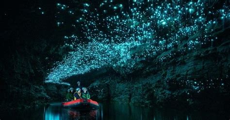Glowworms At Waitomo Caves New Zealand Rdamnthatsinteresting