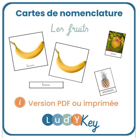 60 Cartes De Nomenclature Les Fruits Ludy Key