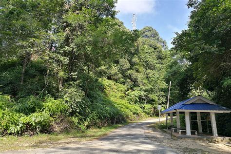 North alor akar semambu kuantan port chukai (kemaman) kuala terengganu beserah. Bukit Pelindung