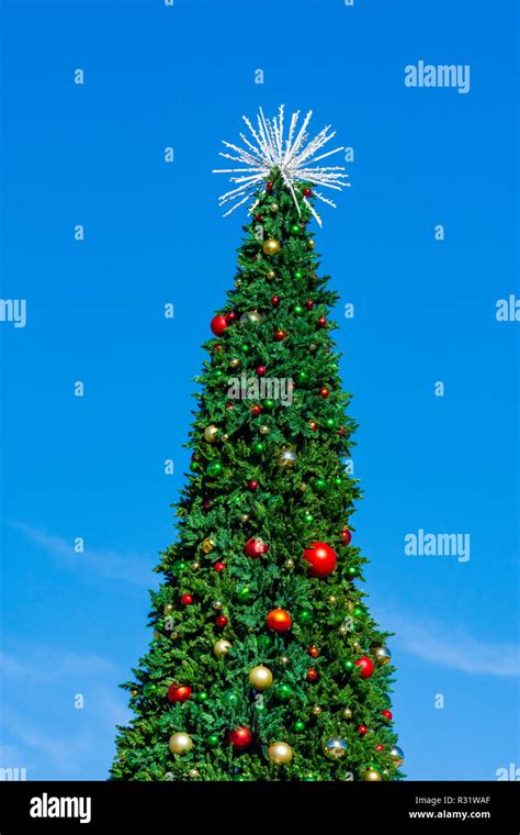 Large Outdoor Christmas Tree Hi Res Stock Photography And Images Alamy