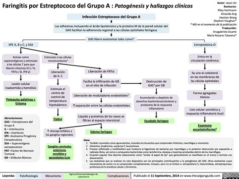 Faringitis Por Estreptococo Del Grupo A Patogenesis Y Hallazgos