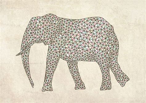 Animal Patterns On Behance