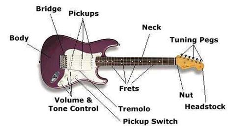 Standard stratocaster guitar pdf manual download. Fender Stratocaster