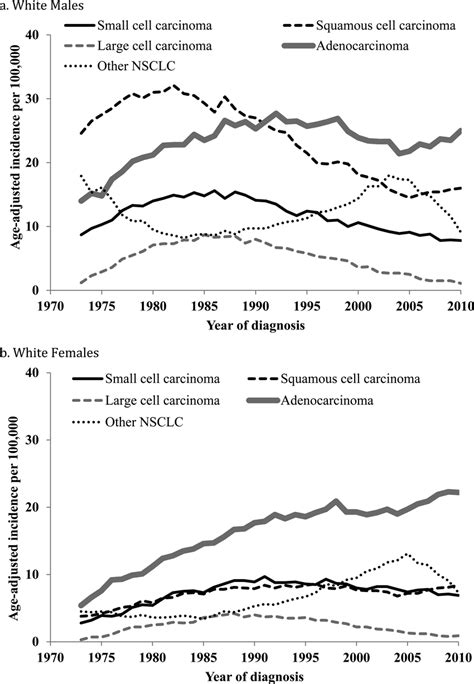 Standardized Incidence Of Lung Cancer By Gender And Histology Age