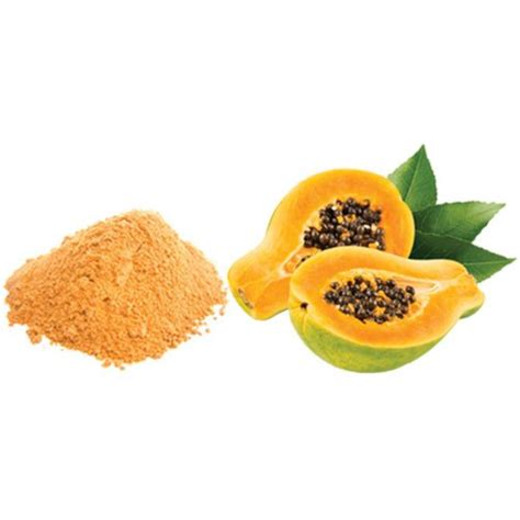 Spray Dried Papaya Fruit Powder Pouch At Rs 525kilogram In Vellore