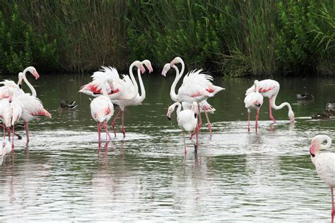 10 Natural Wonders In France Lonely Planet