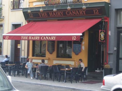 The Hairy Canary | In the euro district of Brussels | lizzlebob | Flickr